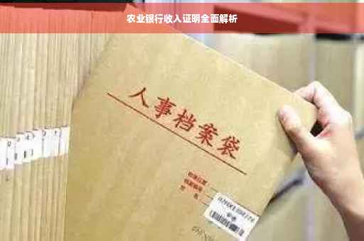 农业银行收入证明全面解析