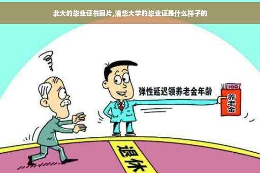 北大的毕业证书图片,清华大学的毕业证是什么样子的