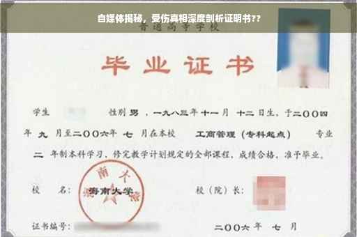 自媒体揭秘，受伤真相深度剖析证明书??