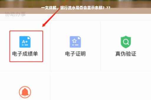 一文详解，银行流水是否会显示余额？??