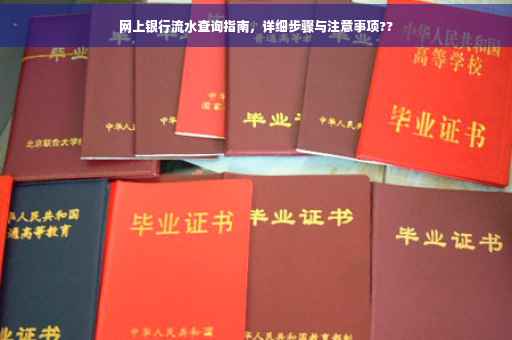网上银行流水查询指南，详细步骤与注意事项??