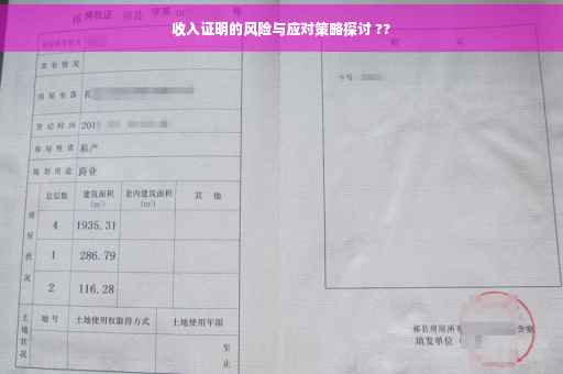 收入证明的风险与应对策略探讨 ??