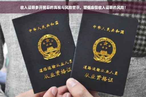 收入证明多开背后的真相与风险警示，警惕虚假收入证明的风险！