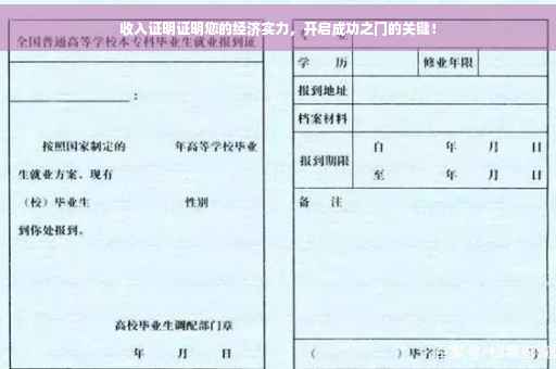 收入证明证明您的经济实力，开启成功之门的关键！