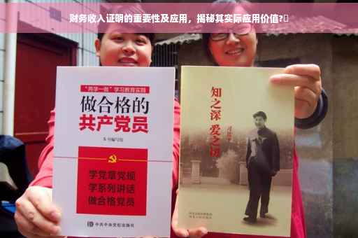 财务收入证明的重要性及应用，揭秘其实际应用价值?✨