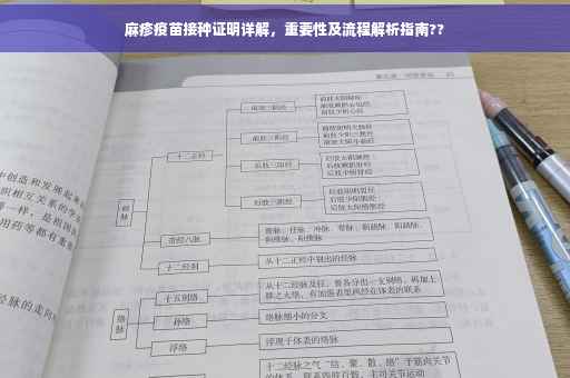 麻疹疫苗接种证明详解，重要性及流程解析指南??