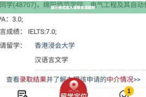 银行格式收入证明全面解析
