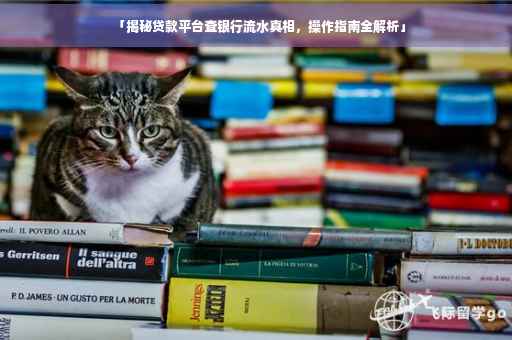 「揭秘贷款平台查银行流水真相，操作指南全解析」