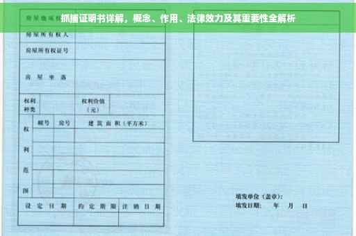 抓捕证明书详解，概念、作用、法律效力及其重要性全解析