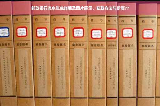 邮政银行流水账单详解及图片展示，获取方法与步骤??