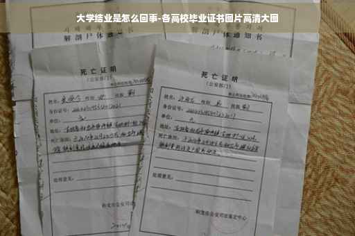 大学结业是怎么回事-各高校毕业证书图片高清大图