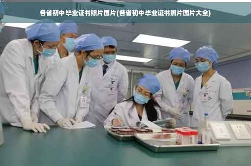 各省初中毕业证书照片图片(各省初中毕业证书照片图片大全)