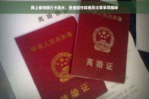 网上查询银行卡流水，便捷操作指南及注意事项揭秘