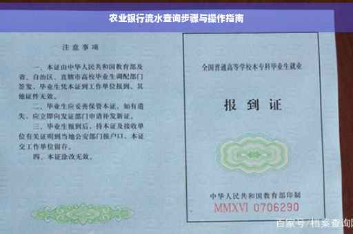 农业银行流水查询步骤与操作指南