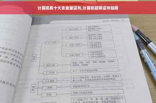 计算机类十大含金量证书,计算机初级证书包括