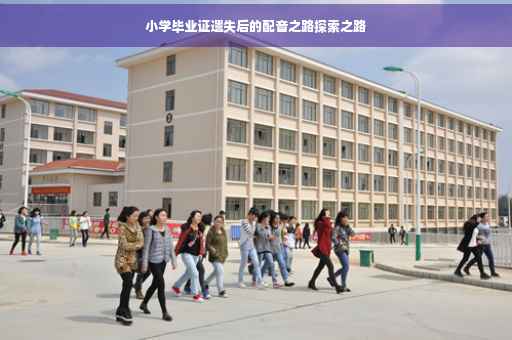 小学毕业证遗失后的配音之路探索之路