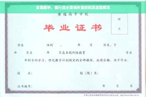 全面解析，银行流水查询所需材料及流程概览