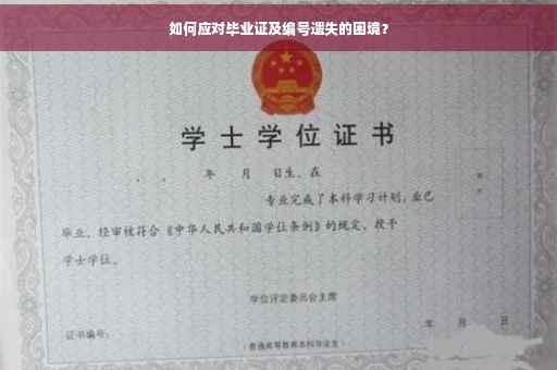 如何应对毕业证及编号遗失的困境？