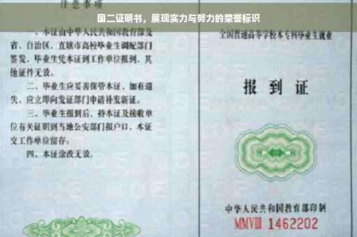 国二证明书，展现实力与努力的荣誉标识
