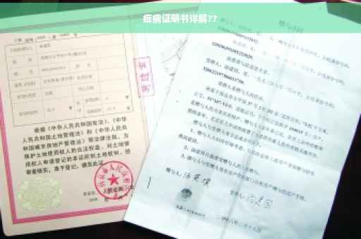 症病证明书详解??