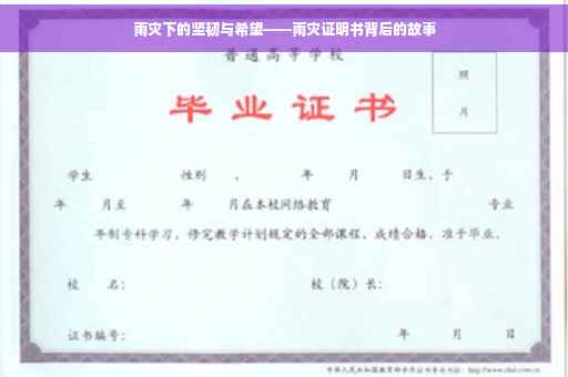 雨灾下的坚韧与希望——雨灾证明书背后的故事