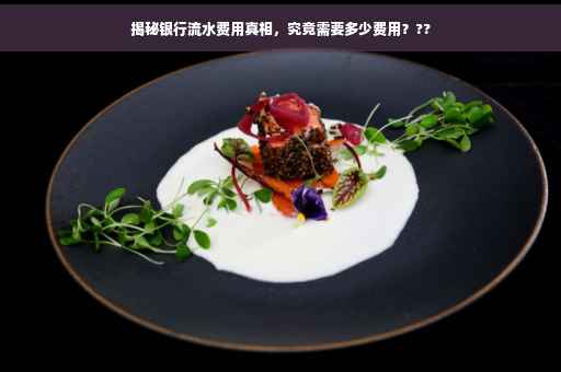 揭秘银行流水费用真相，究竟需要多少费用？??