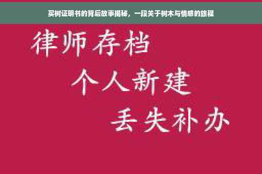 买树证明书的背后故事揭秘，一段关于树木与情感的旅程