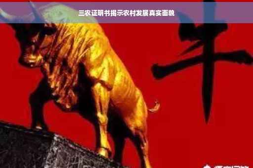 三农证明书揭示农村发展真实面貌