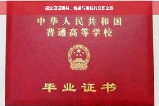 探父母证明书，情感与责任的交织之旅