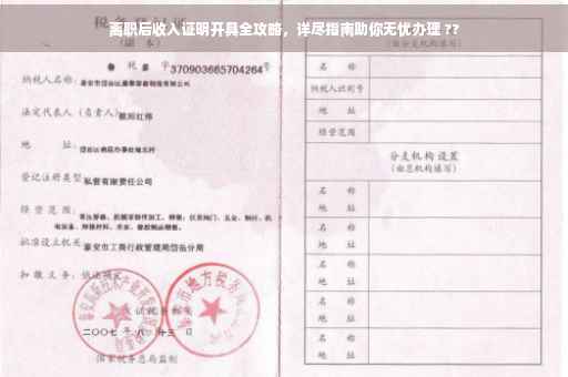 离职后收入证明开具全攻略，详尽指南助你无忧办理 ??