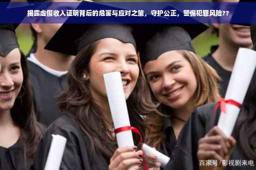 揭露虚假收入证明背后的危害与应对之策，守护公正，警惕犯罪风险??