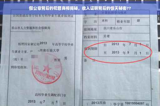 假公章背后的犯罪真相揭秘，收入证明背后的惊天秘密??