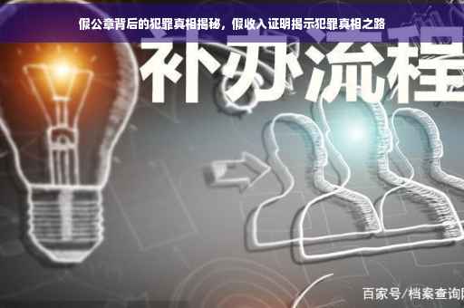 假公章背后的犯罪真相揭秘，假收入证明揭示犯罪真相之路