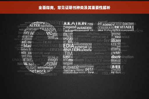 全面指南，常见证明书种类及其重要性解析