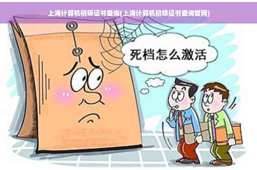 上海计算机初级证书查询(上海计算机初级证书查询官网)