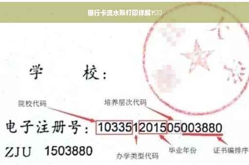 银行卡流水账打印详解?⚡️