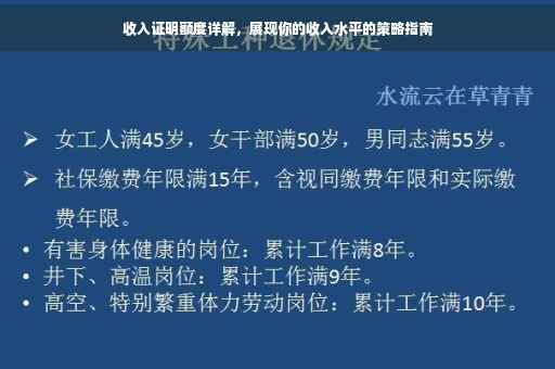 收入证明额度详解，展现你的收入水平的策略指南