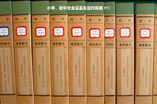 小学、初中毕业证丢失应对指南 ??✨