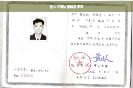 收入证明法律详解概览