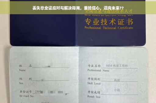 丢失毕业证应对与解决指南，重拾信心，迈向未来??