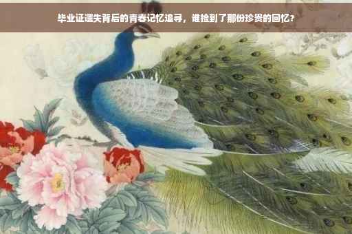毕业证遗失背后的青春记忆追寻，谁捡到了那份珍贵的回忆？