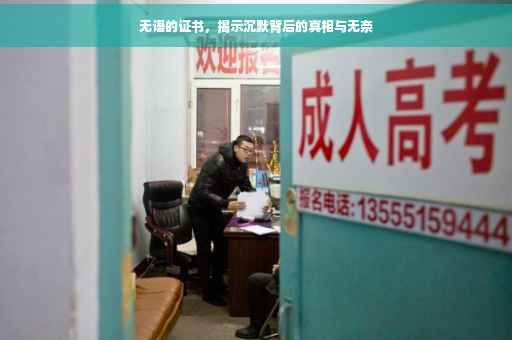 无语的证书，揭示沉默背后的真相与无奈