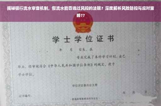 揭秘银行流水审查机制，假流水能否逃过风控的法眼？深度解析风险防控与应对策略??