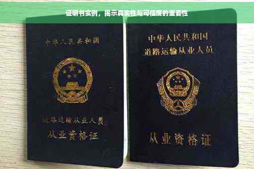 证明书实例，揭示真实性与可信度的重要性