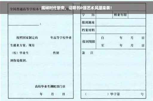 揭秘时代新宠，证明书P图艺术风潮来袭！