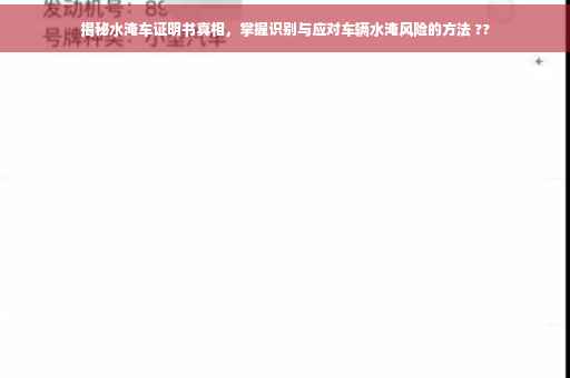 揭秘水淹车证明书真相，掌握识别与应对车辆水淹风险的方法 ??