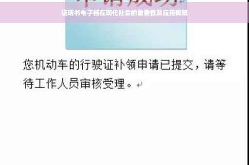 证明书电子档在现代社会的重要性及应用概览