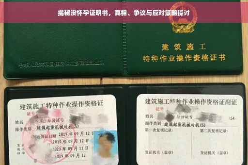 揭秘没怀孕证明书，真相、争议与应对策略探讨