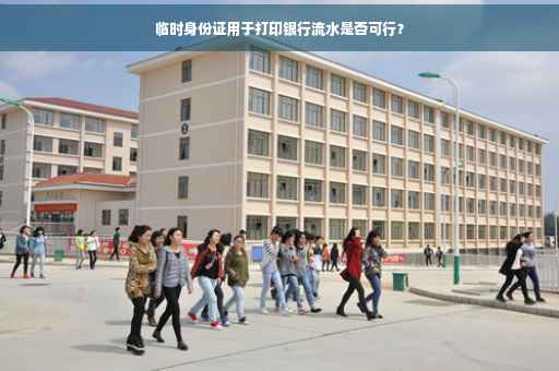 临时身份证用于打印银行流水是否可行？