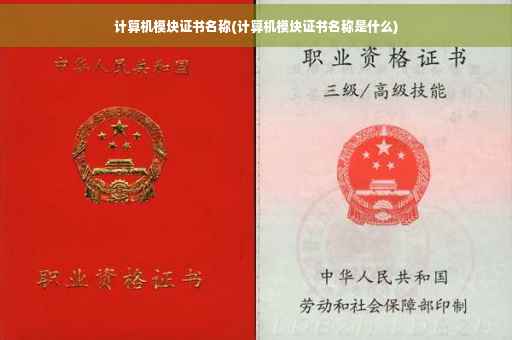 计算机模块证书名称(计算机模块证书名称是什么)